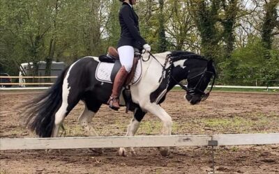 ESMERAY en SANNE SUCCESVOL bij CONCOURS te Oosterwolde.